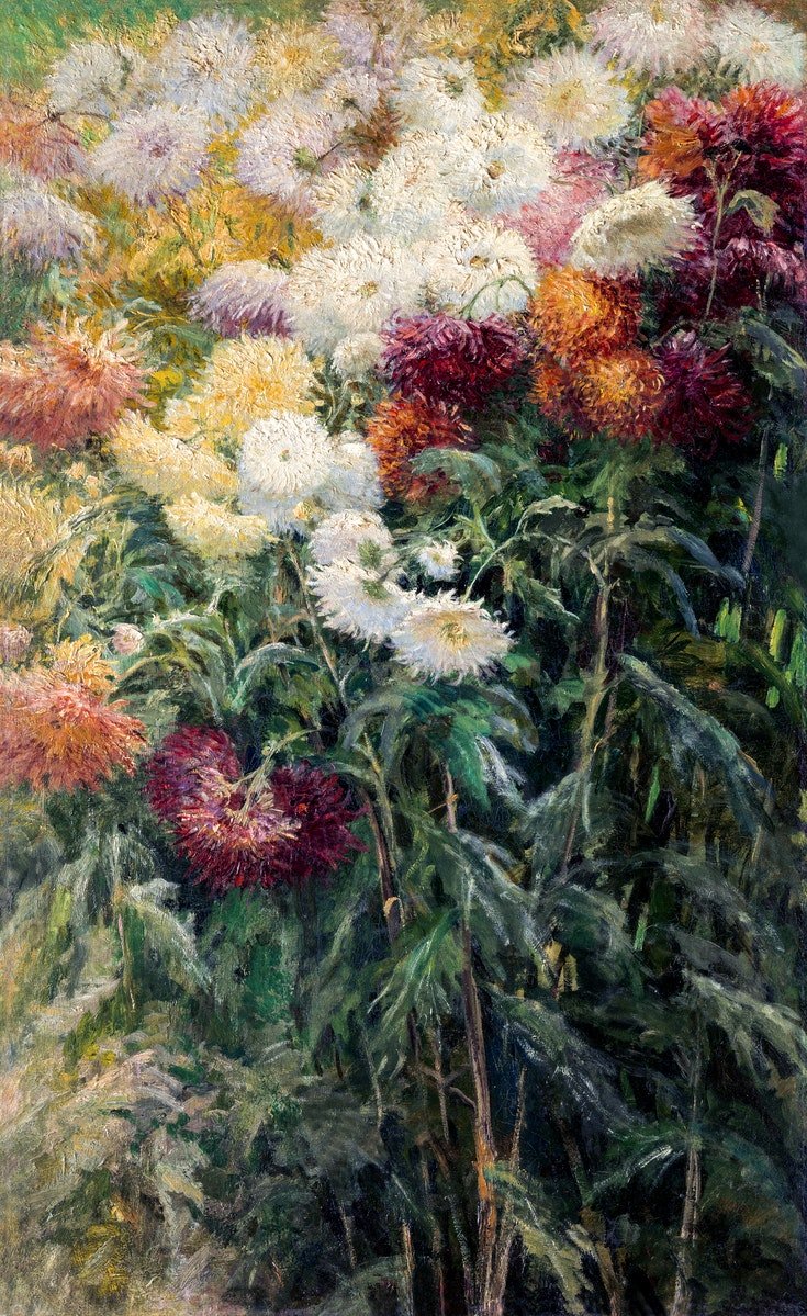 картинка Гюстав Кайботт "Хризантемы в саду в Пти–Женвилье"