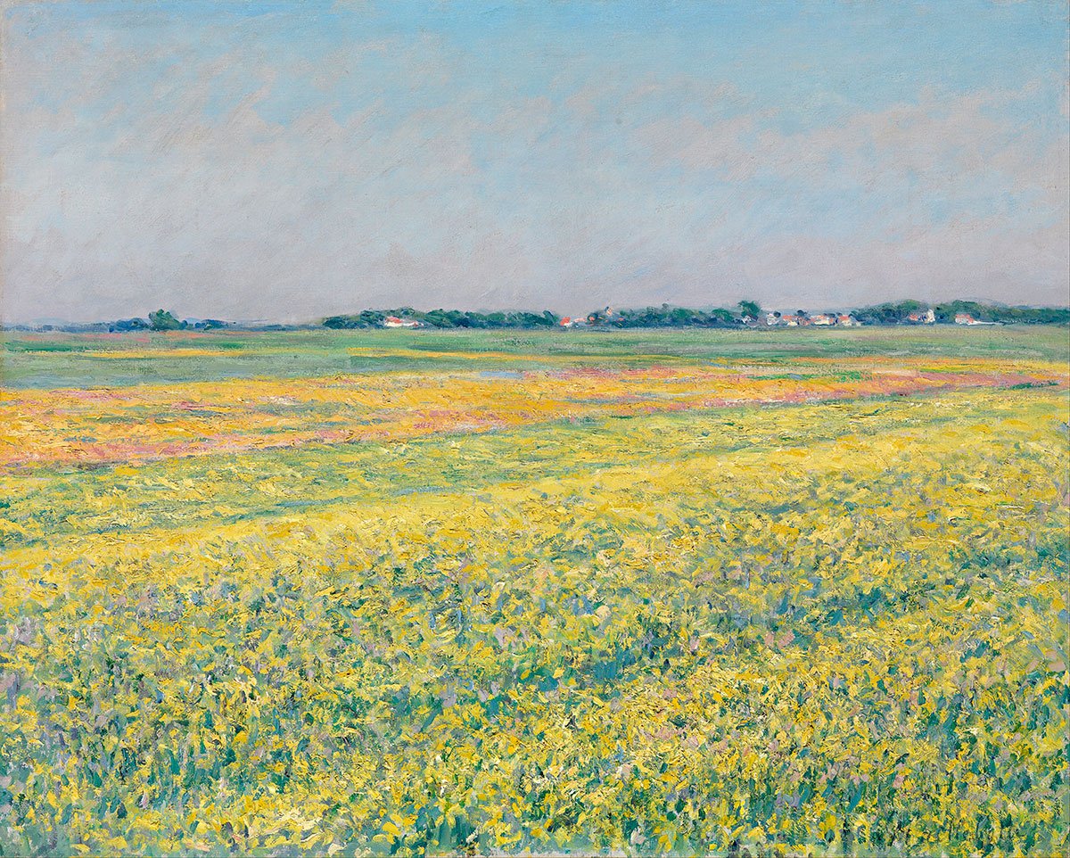 картинка Гюстав Кайботт "Равнина Женвилье, желтые поля"